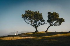 Wedding photographer in Madeira Island, Fanal, Laurel forest