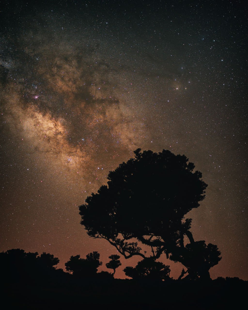 Milky Way in Fanal, Madeira