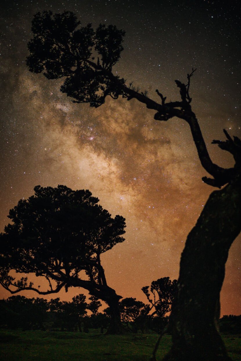 Milky Way in Fanal forest Madeira
