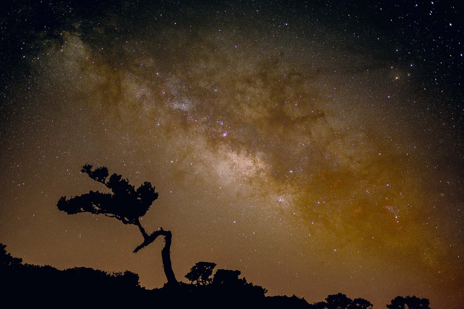 Milky Way over Fanal, Madeira