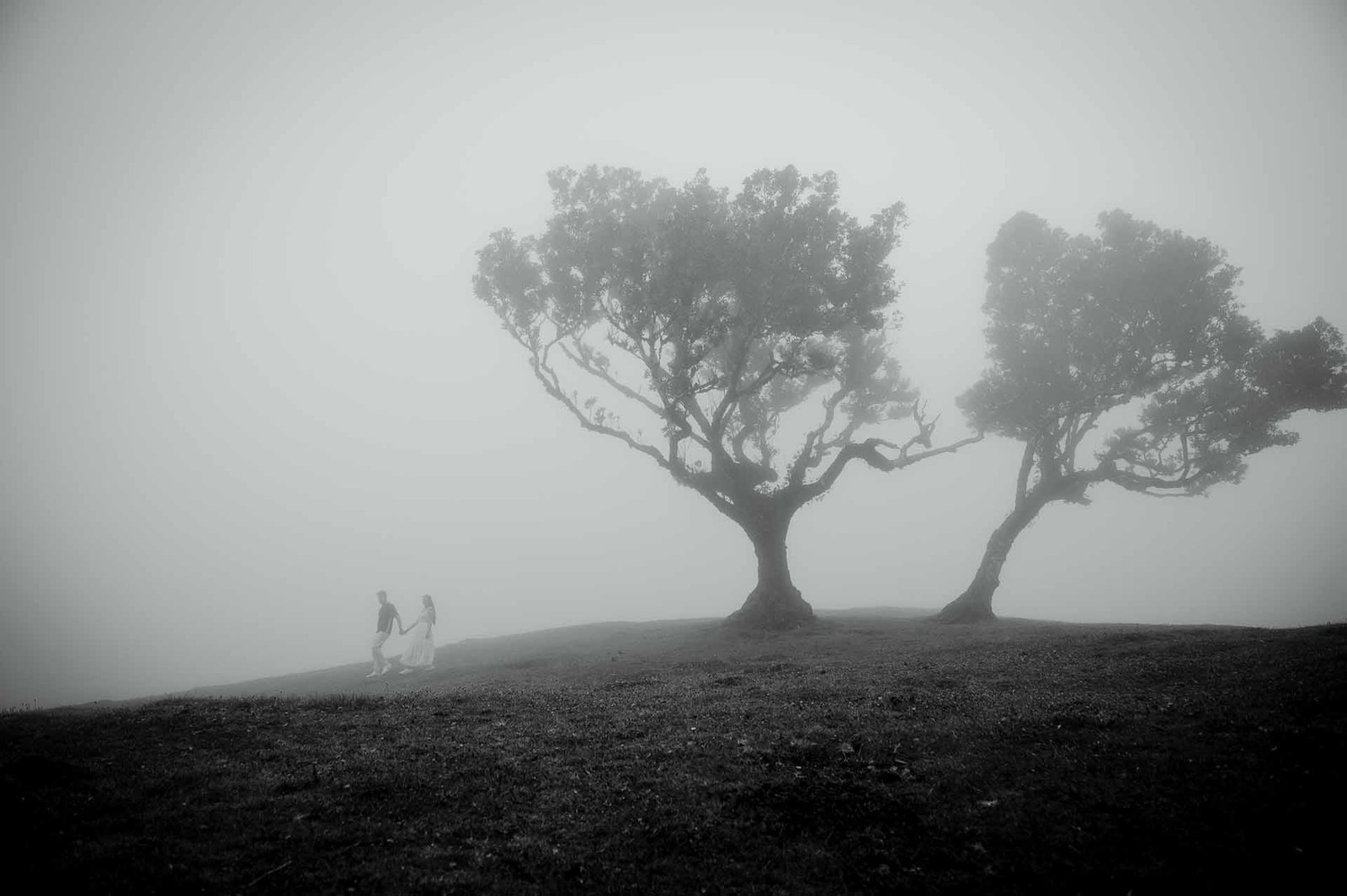 A couple walks in misty and foggy Fanal forest in Madeira. Fanal is unpredictable place in terms of light and weather conditions.